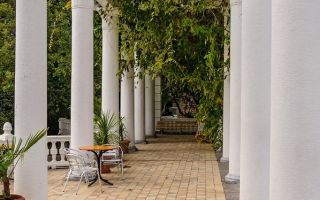 Никитский ботанический сад (ялта, крым): цены, фото, сайт, как добраться, описание