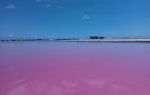 Озеро сасык-сиваш (розовое) в крыму: на карте, фото, описание