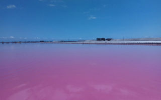 Озеро сасык-сиваш (розовое) в крыму: на карте, фото, описание