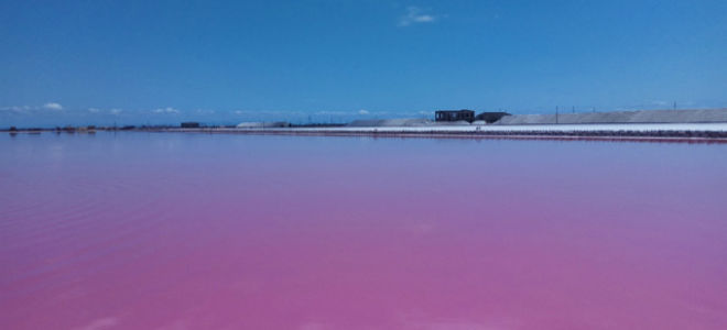 Озеро сасык-сиваш (розовое) в крыму: на карте, фото, описание