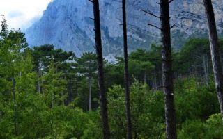Ялтинский горно-лесной природный заповедник в крыму