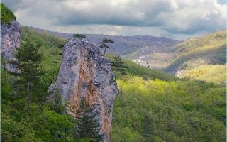 Чернореченский каньон крыма: фото, маршруты, как добраться, описание