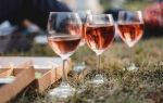 Винный фестиваль in vino veritas 2020 в коктебеле, крым: даты проведения, программа