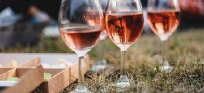 Винный фестиваль in vino veritas 2020 в коктебеле, крым: даты проведения, программа