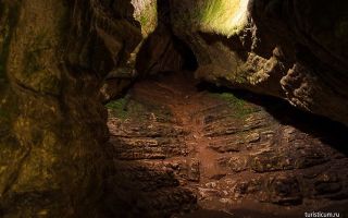 Волчий грот (пещера) в крыму: как доехать, исследования, фото
