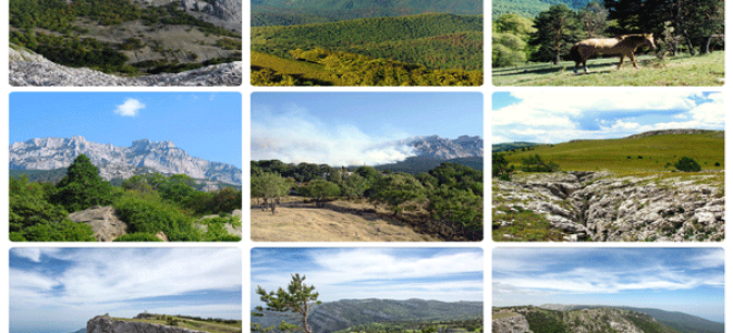 Крымский природный заповедник в алуште: экскурсии, сайт, отзывы