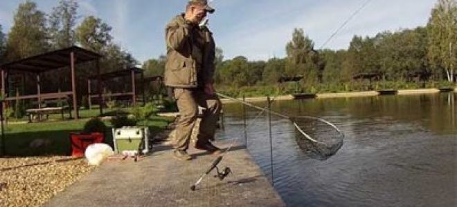 Платная рыбалка в крыму на озерах: цены 2020 г., лучшие места с описанием