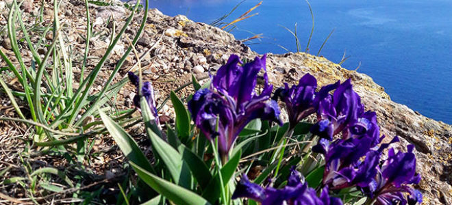 Что можно посмотреть в севастополе за 1 день отдыха