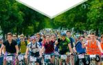 Фестиваль «велопобеда 2017» в севастополе: когда пройдет, программа