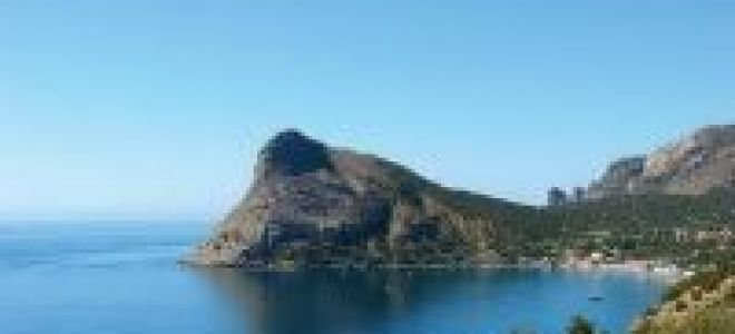 Ботанический заказник «новый свет» в крыму: фото, как добраться, описание