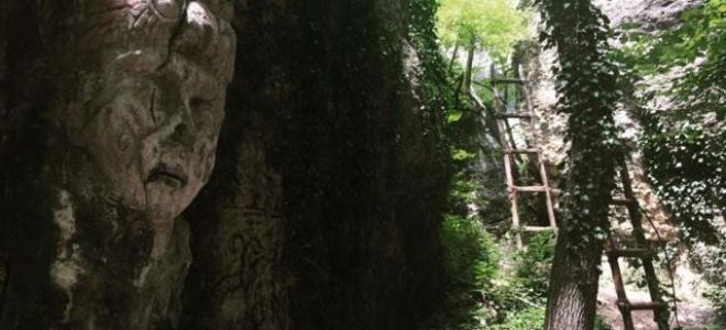 Гора крокодил (арман-кая) в крыму: фото, как добраться, описание