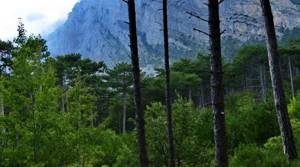 Ялтинский горно-лесной природный заповедник в Крыму