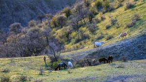 Карадагский природный заповедник в Крыму: сайт, фото, экскурсии, описание