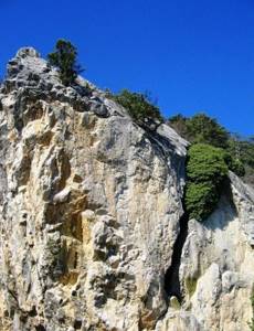 Никитская расселина (Аянские скалы) в Крыму: фото, как добраться, описание