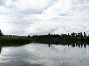 Васильевское озеро в Васильевке, Ялта: рыбалка, отзывы, фото