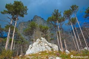 Гора Шуври-Кая в Крыму: где находится, как добраться, значение
