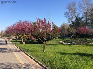 Парк имени Юрия Гагарина в Симферополе: фото, как добраться, описание