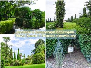 Дендропарк в Евпатории: фото, цены, официальный сайт, отзывы, описание