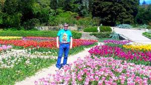 Парад тюльпанов 2020 в Никитском ботаническом саду, Крым
