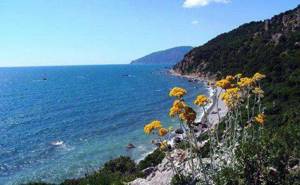 Природный заповедник «Мыс Мартьян» в Крыму: как добраться, фото, описание