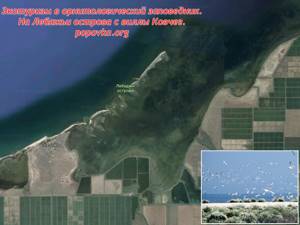 Лебяжьи острова в Крыму: фото заповедника, как добраться, описание