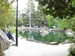 Воронцовский (Алупкинский) парк в Алупке (Крым): фото, сайт, описание