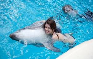 Лучшие дельфинарии в Крыму: рейтинг и цены, отзывы