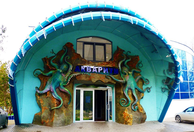 Аквариум в Евпатории: официальный сайт, фото, как добраться, описание
