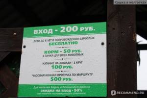 Страусиная ферма «Экзотик» в Керчи (Крым): сайт, фото, цены, отзывы, описание