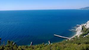 Поселок Никита – Крым, Ялта: отдых, отзывы, отели, как доехать, что посмотреть