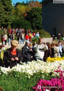 Бал Хризантем 2020 в Никитском ботаническом саду (Крым)