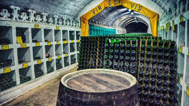 Евпаторийский завод классических вин в Крыму: отзывы, фото винзавода
