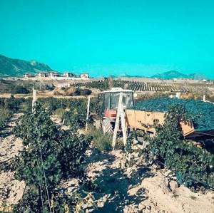 Поселок Солнечная Долина (Крым, Судак): отдых, пляжи, жилье, фото
