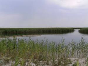 Бакальское озеро в Крыму: фото, как добраться, происхождение