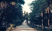 Гурзуфский парк в Гурзуфе (Крым): как добраться, фото, описание