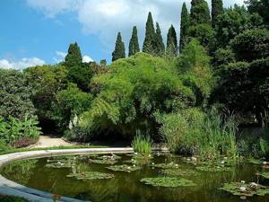 Никитский ботанический сад (Ялта, Крым): цены, фото, сайт, как добраться, описание