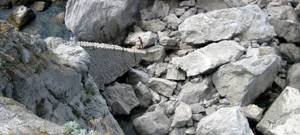 Все о скале Дива в Симеизе (Крым): фото, как добраться, описание