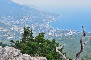 Экскурсии из Алушты – по Крыму и городу, цены 2020, отзывы