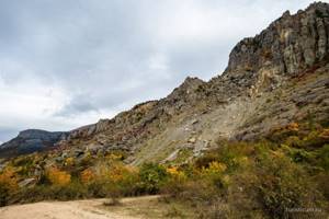 Орех Юрия Никулина в Крыму: фото, где находится, как проехать