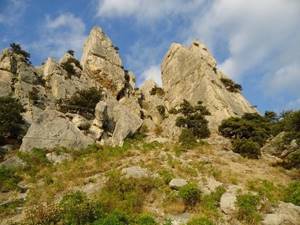 Гора Кошка в Симеизе (Крым): фото, где находится, легенда, описание