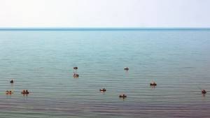 Арабатский залив в Крыму: на карте, фото, отдых, пляжи, отзывы