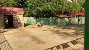 Зоопарк в Симферополе: цены на билеты, режим работы, сайт, описание