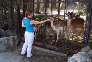 Зоопарк «Сказка» в Ялте: отзывы, сайт, цены, фото, как добраться, описание
