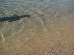 Пляж Супер Аква в Заозерном (Евпатория, Крым): фото, отзывы, описание