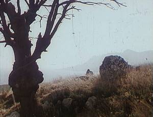 Где снимали фильм Буратино (1975): места съемок в Крыму, отзывы