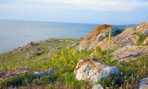 Казантипский природный заповедник (мыс Казантип) в Крыму: фото, отзывы, описание