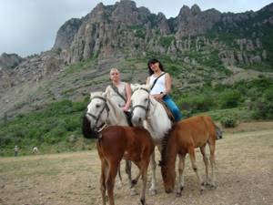 Конные прогулки (туры) в Крыму: цены 2020, отзывы, клубы