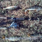 Бахчисарайское водохранилище (озеро Эгиз-Оба): рыбалка, отдых, отзывы