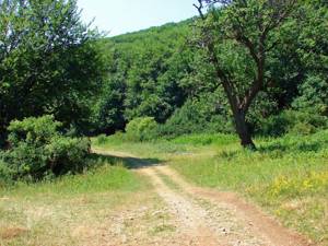 Гора Эклизи-Бурун в Крыму: маршруты, фото, на карте, как добраться