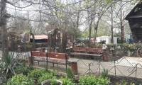 Экопарк «Лукоморье» в Севастополе: сайт парка, адрес, фото, отзывы